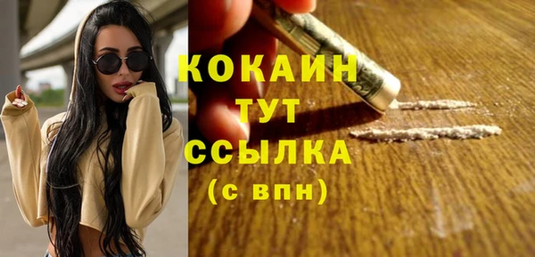 дживик Абаза