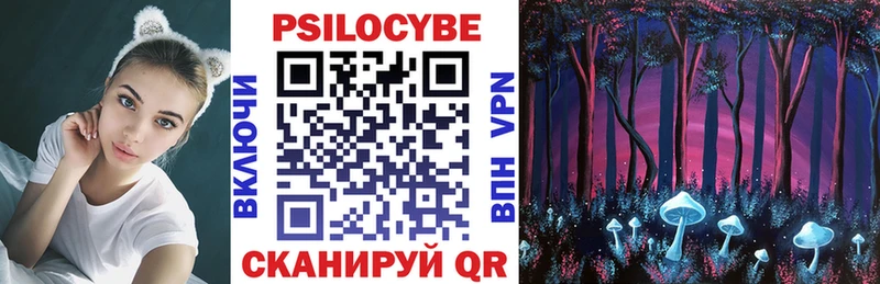 Галлюциногенные грибы Psilocybe Берёзовка